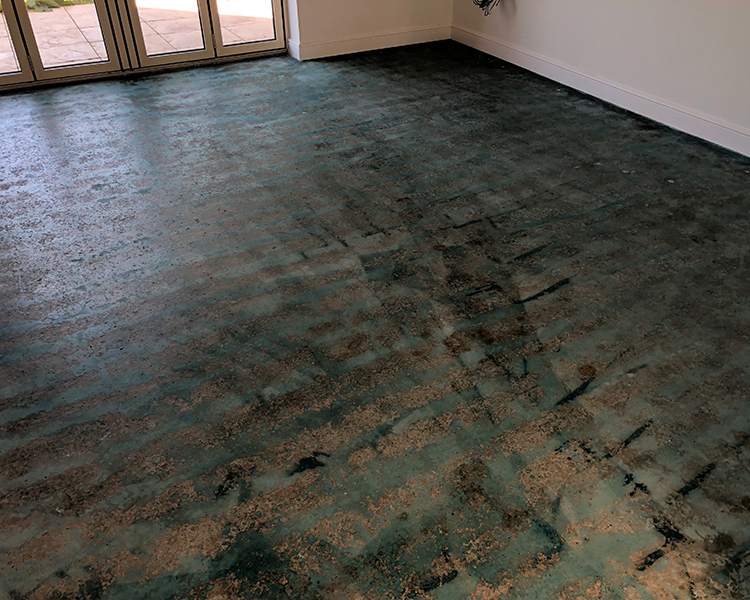 Image #2 of the project at the Barn Conversion