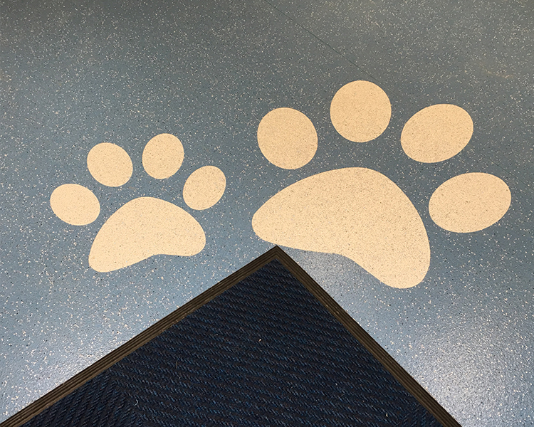 Hull Animal Welfare Trust, Reception Area