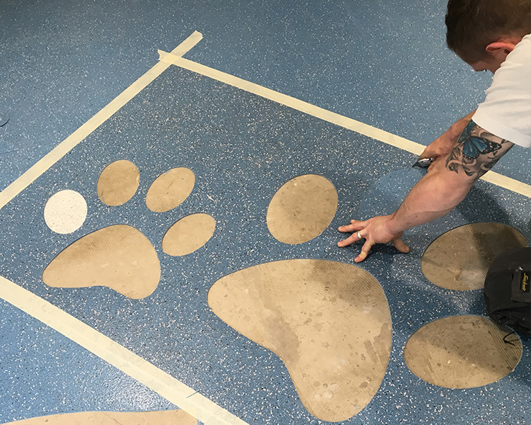 Image #2 of the project at Hull Animal Welfare Trust